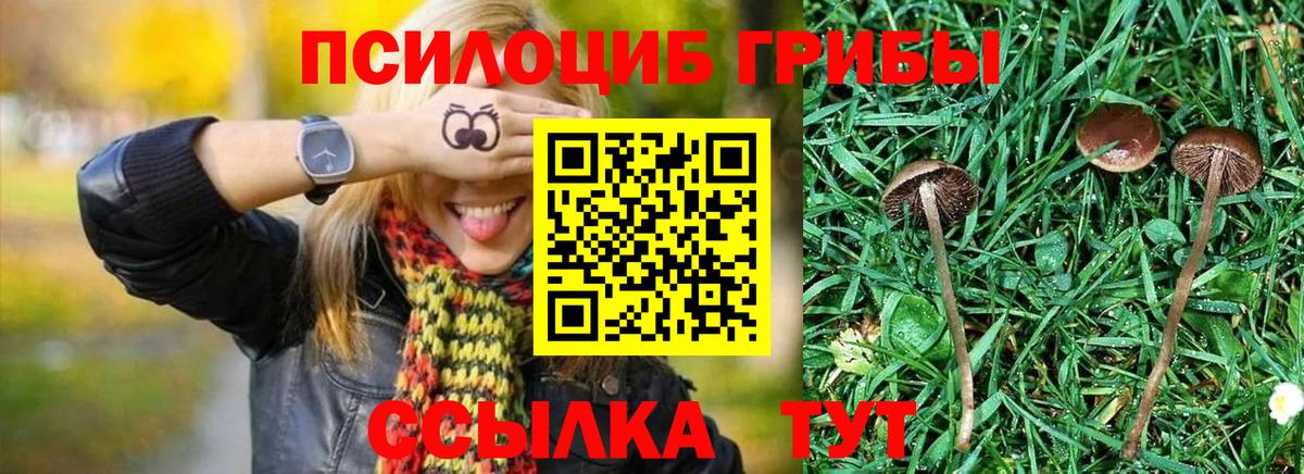 Псилоцибиновые грибы MAGIC MUSHROOMS Елец